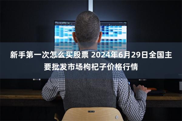 新手第一次怎么买股票 2024年6月29日全国主要批发市场枸杞子价格行情