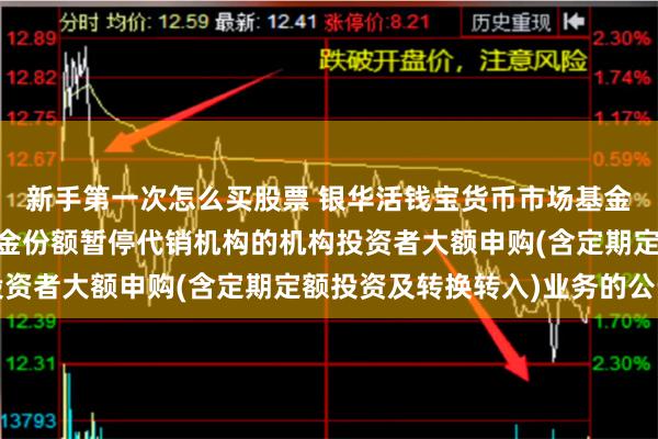 新手第一次怎么买股票 银华活钱宝货币市场基金A类基金份额和F类基金份额暂停代销机构的机构投资者大额申购(含定期定额投资及转换转入)业务的公告