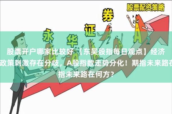 股票开户哪家比较好 【东吴股指每日观点】经济复苏与政策刺激存在分歧，A股指数走势分化！期指未来路在何方？