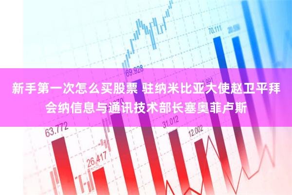 新手第一次怎么买股票 驻纳米比亚大使赵卫平拜会纳信息与通讯技术部长塞奥菲卢斯