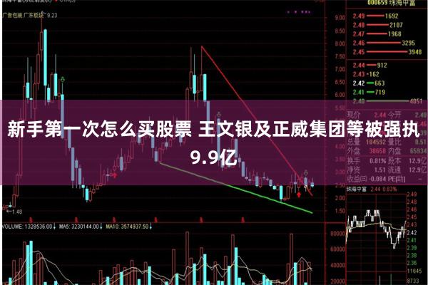 新手第一次怎么买股票 王文银及正威集团等被强执9.9亿