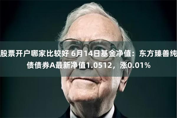 股票开户哪家比较好 6月14日基金净值：东方臻善纯债债券A最新净值1.0512，涨0.01%