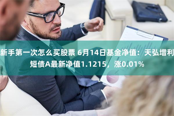 新手第一次怎么买股票 6月14日基金净值：天弘增利短债A最新净值1.1215，涨0.01%