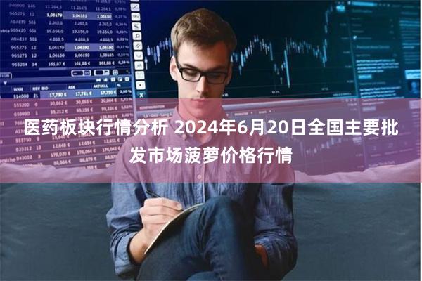 医药板块行情分析 2024年6月20日全国主要批发市场菠萝价格行情