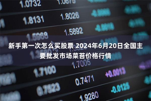 新手第一次怎么买股票 2024年6月20日全国主要批发市场菜苔价格行情