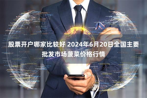 股票开户哪家比较好 2024年6月20日全国主要批发市场菠菜价格行情