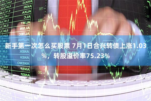 新手第一次怎么买股票 7月1日合兴转债上涨1.03%，转股溢价率75.23%