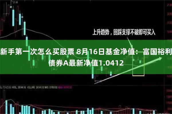 新手第一次怎么买股票 8月16日基金净值：富国裕利债券A最新净值1.0412