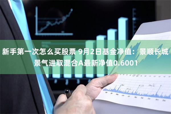 新手第一次怎么买股票 9月2日基金净值：景顺长城景气进取混合A最新净值0.6001