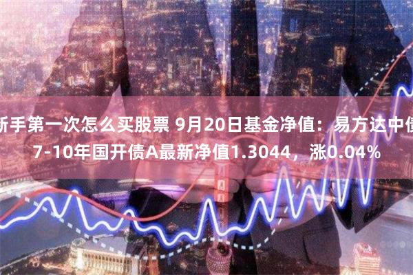 新手第一次怎么买股票 9月20日基金净值：易方达中债7-10年国开债A最新净值1.3044，涨0.04%