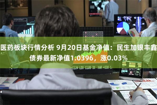 医药板块行情分析 9月20日基金净值：民生加银丰鑫债券最新净值1.0396，涨0.03%