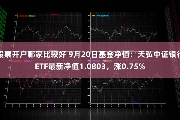 股票开户哪家比较好 9月20日基金净值：天弘中证银行ETF最新净值1.0803，涨0.75%