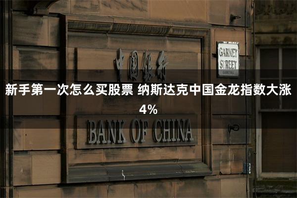 新手第一次怎么买股票 纳斯达克中国金龙指数大涨4%