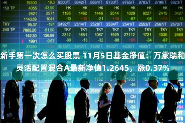 新手第一次怎么买股票 11月5日基金净值：万家瑞和灵活配置混合A最新净值1.2645，涨0.37%