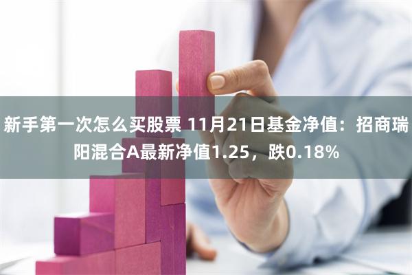 新手第一次怎么买股票 11月21日基金净值：招商瑞阳混合A最新净值1.25，跌0.18%